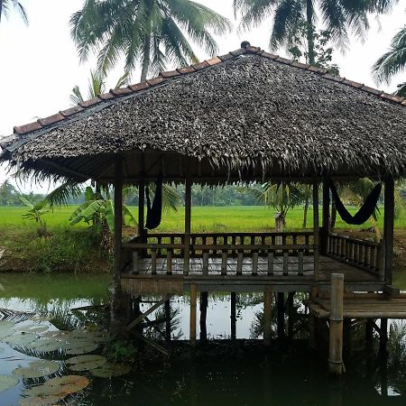 Bale'Ku Hotel Pangandaran Exterior photo